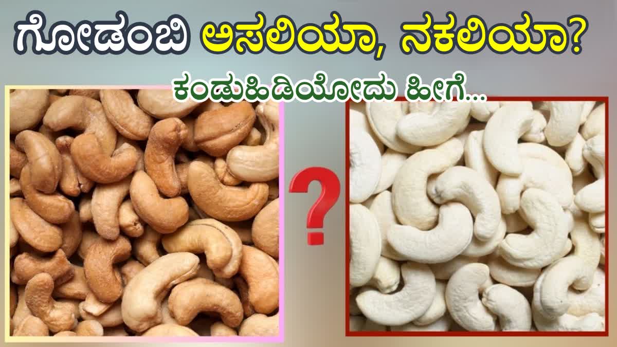 REAL CASHEW VS FAKE CASHEW  HOW TO IDENTIFY GENUINE CASHEW  CASHEW REAL OR FAKE  IDENTIFY REAL CASHEW IN Kannada