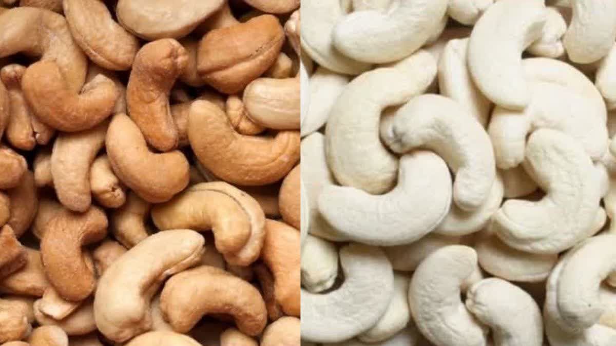 Real Cashew VS Fake Cashew