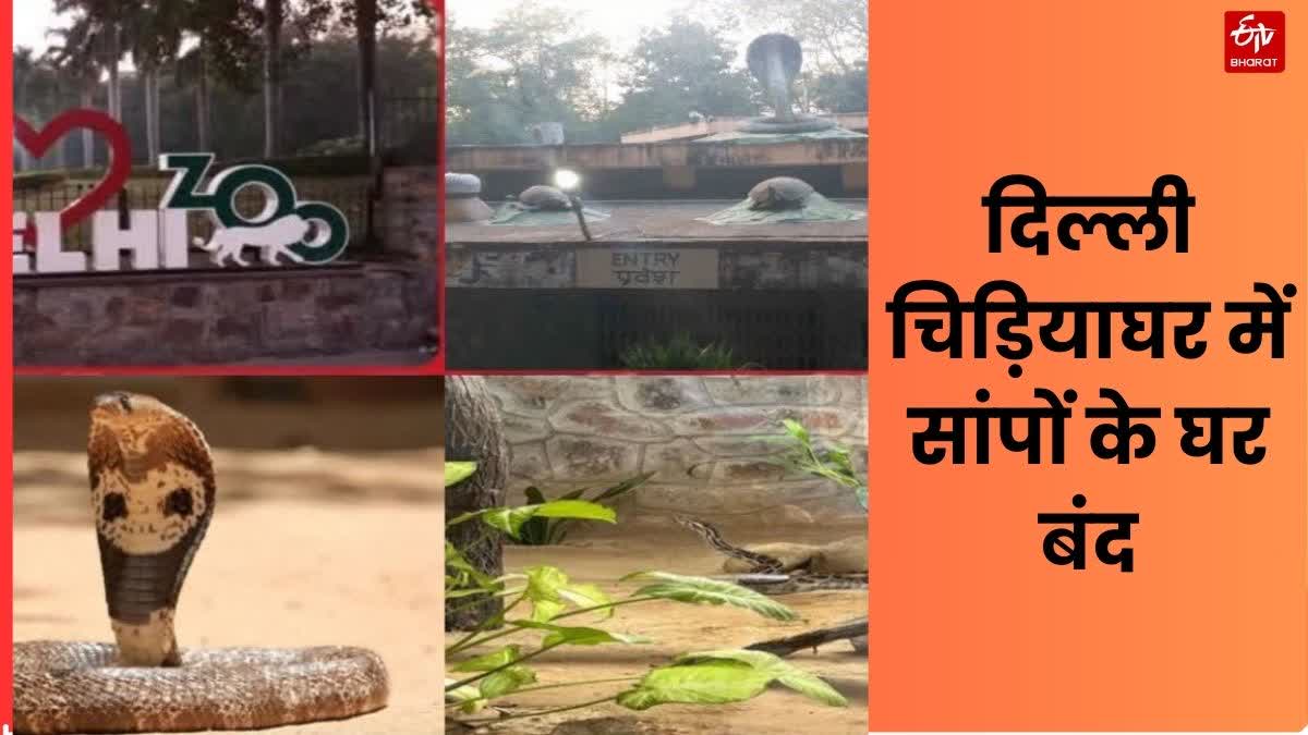 दिल्ली जू में सांपों के घर बंद अब अप्रैल में ही कर सकेंगे सांपों का दीदार