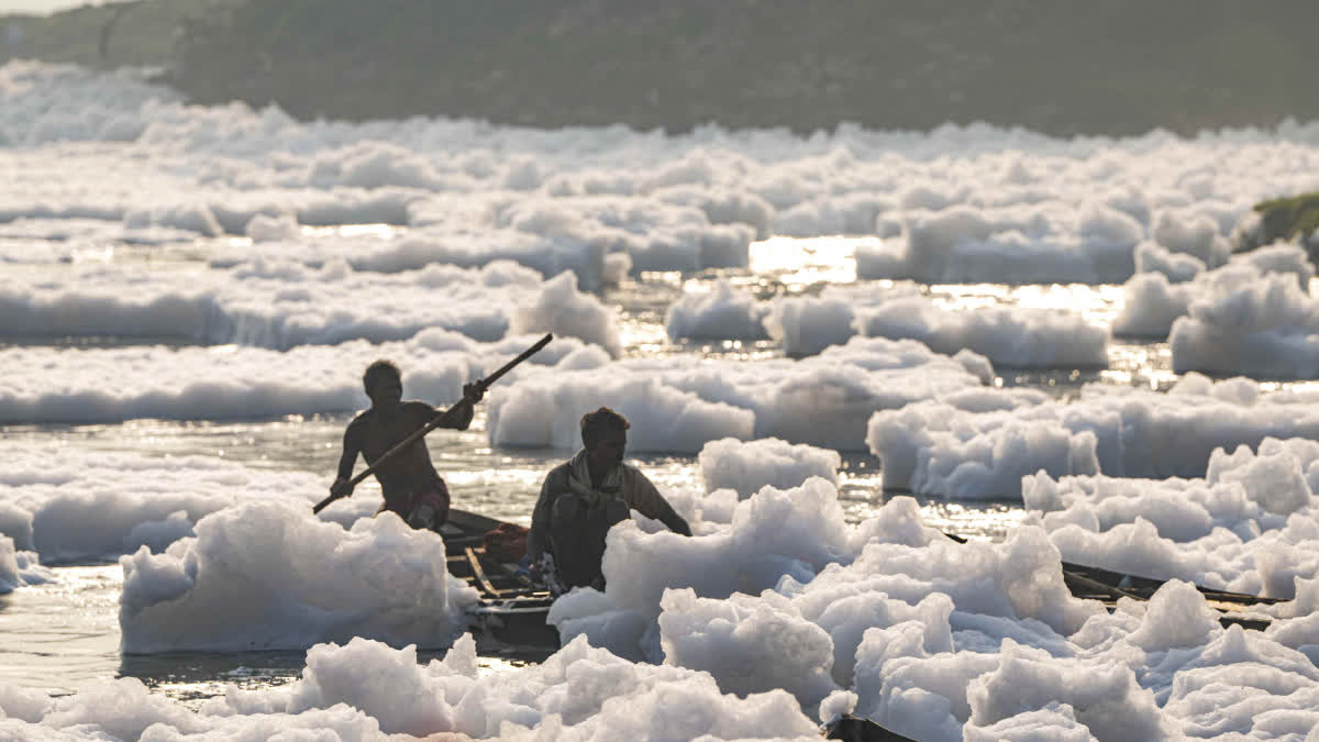 Polluted River Yamuna