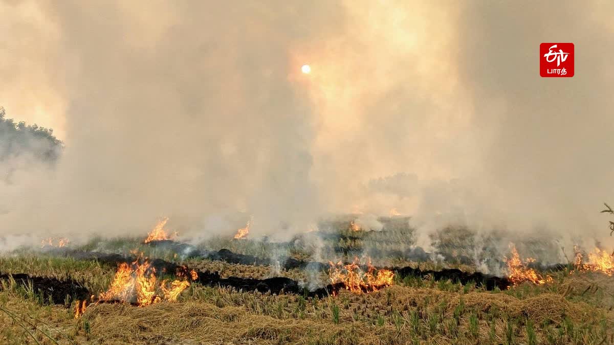 வைக்கோல் எரிப்பு