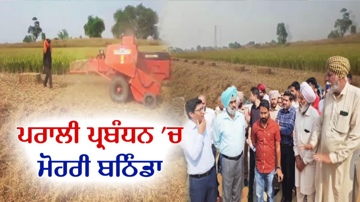 BATHINDA BECAME NUMBER ONE