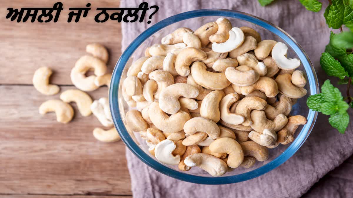 REAL VS FAKE CASHEWS