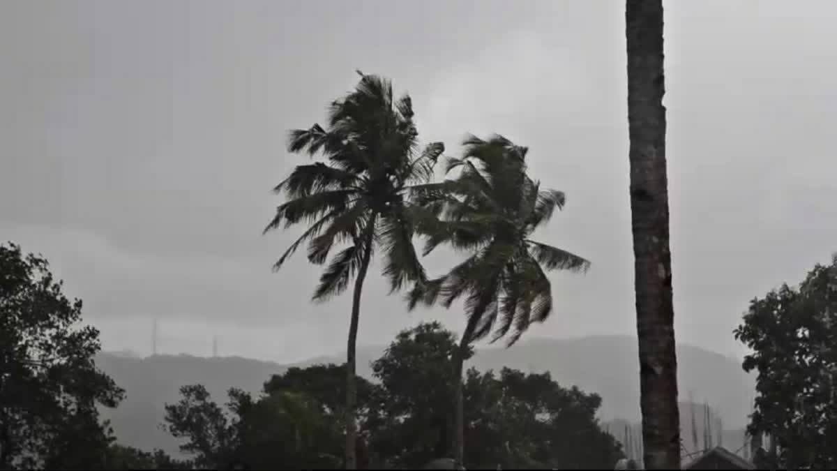 കേരളത്തില്‍ മഴ  KERALA WEATHER  മഴ മുന്നറിയിപ്പ്  KERALA RAIN ALERT