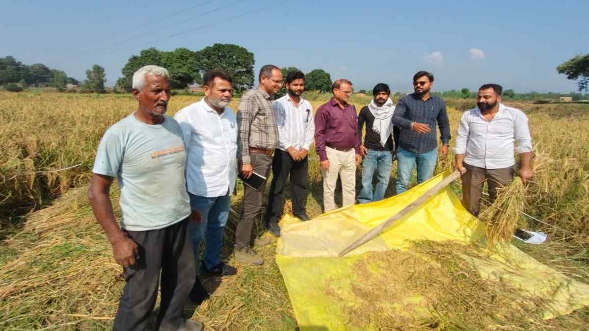 PADDY PROCUREMENT IN HARYANA