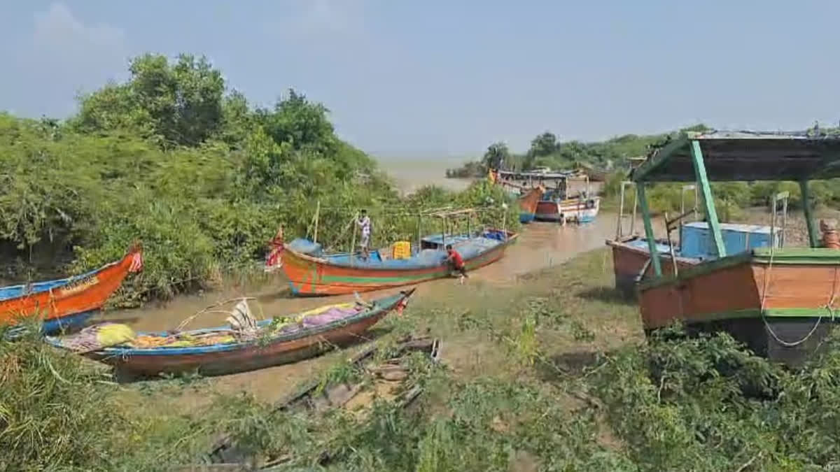 Will Bhitarkanika Mangrove Forests In Kendrapada Reduce Impact of Cyclone Dana?