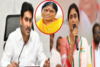 YS Jagan Petition in NCLT