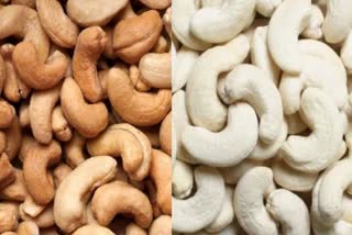 Real Cashew VS Fake Cashew