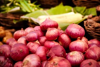 ANTIDIABETIC EFFECT OF ONION