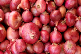 Onion