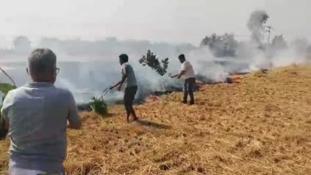 Stubble Issue In Fatehabad