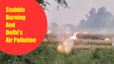 Stubble burning reduced in Haryana and Punjab