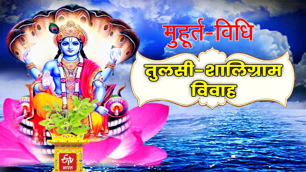 tulsi vivah 2023  dev uthani ekadashi 2023  ekadashi . gyaras significance tulsi vivah significance puja vidhi . Devotthan Ekadashi