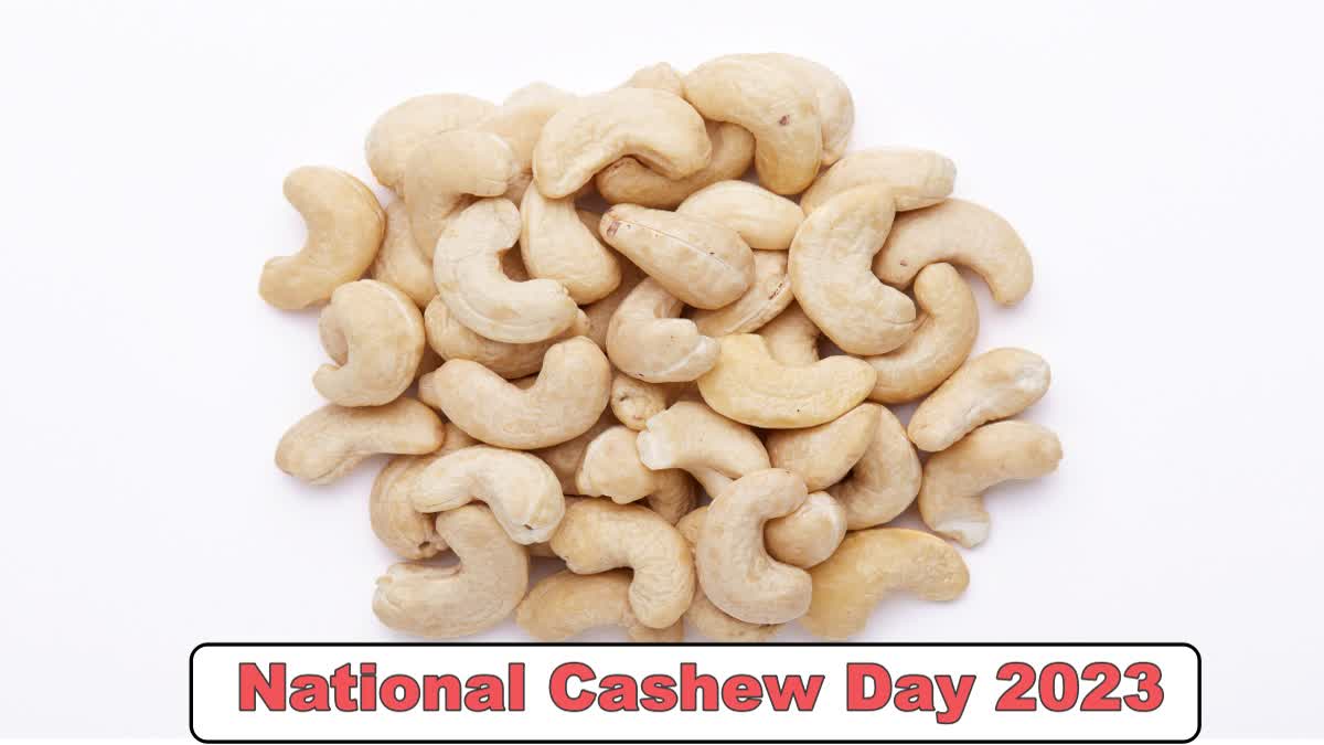 National Cashew Day: ਅੱਜ ਮਨਾਇਆ ਜਾ ਰਿਹਾ ਹੈ ਰਾਸ਼ਟਰੀ ਕਾਜੂ ਦਿਵਸ, ਜਾਣੋ ਕਾਜੂ ...