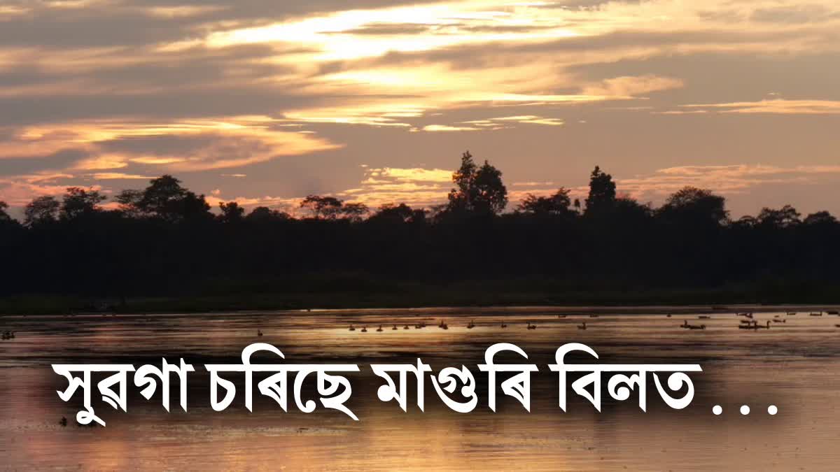 Migratory birds flock in Tinsukia Maguri Motapung Beel