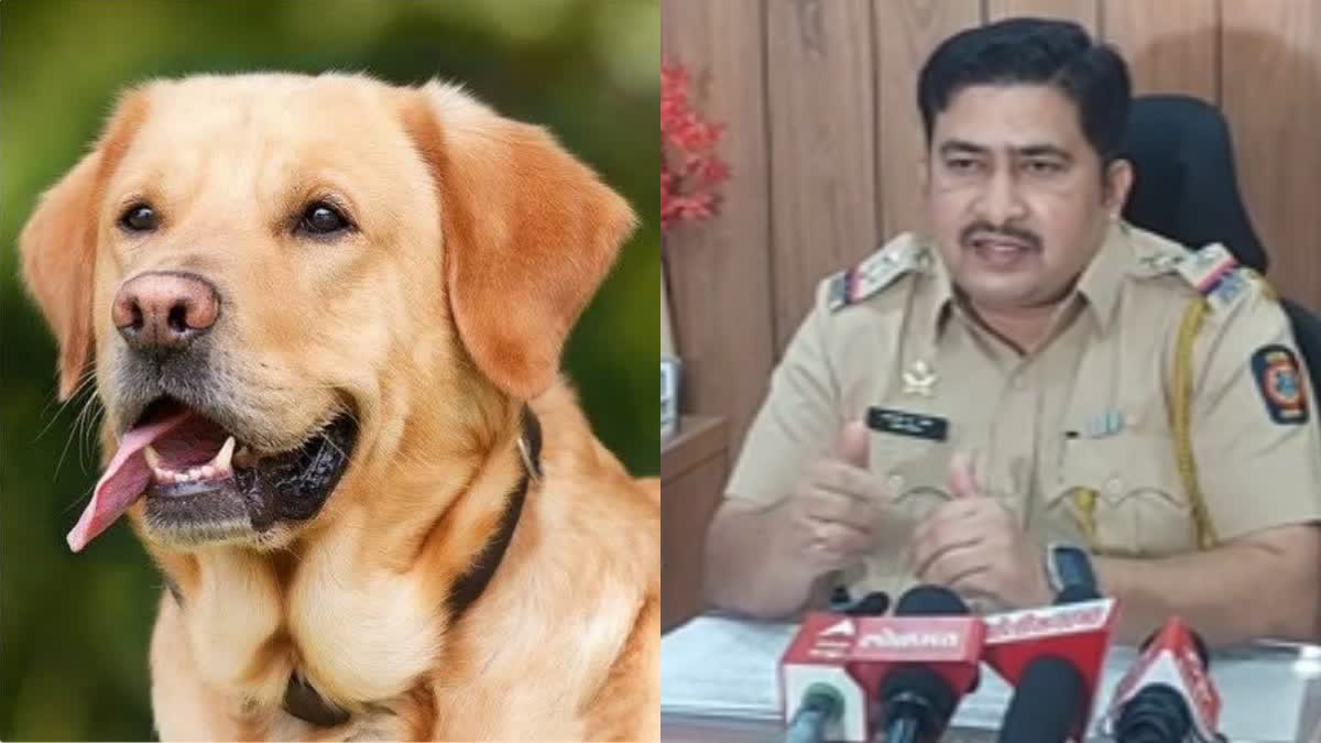 Dog dies at pet clinic; Case filed against four persons including doctors in Pune