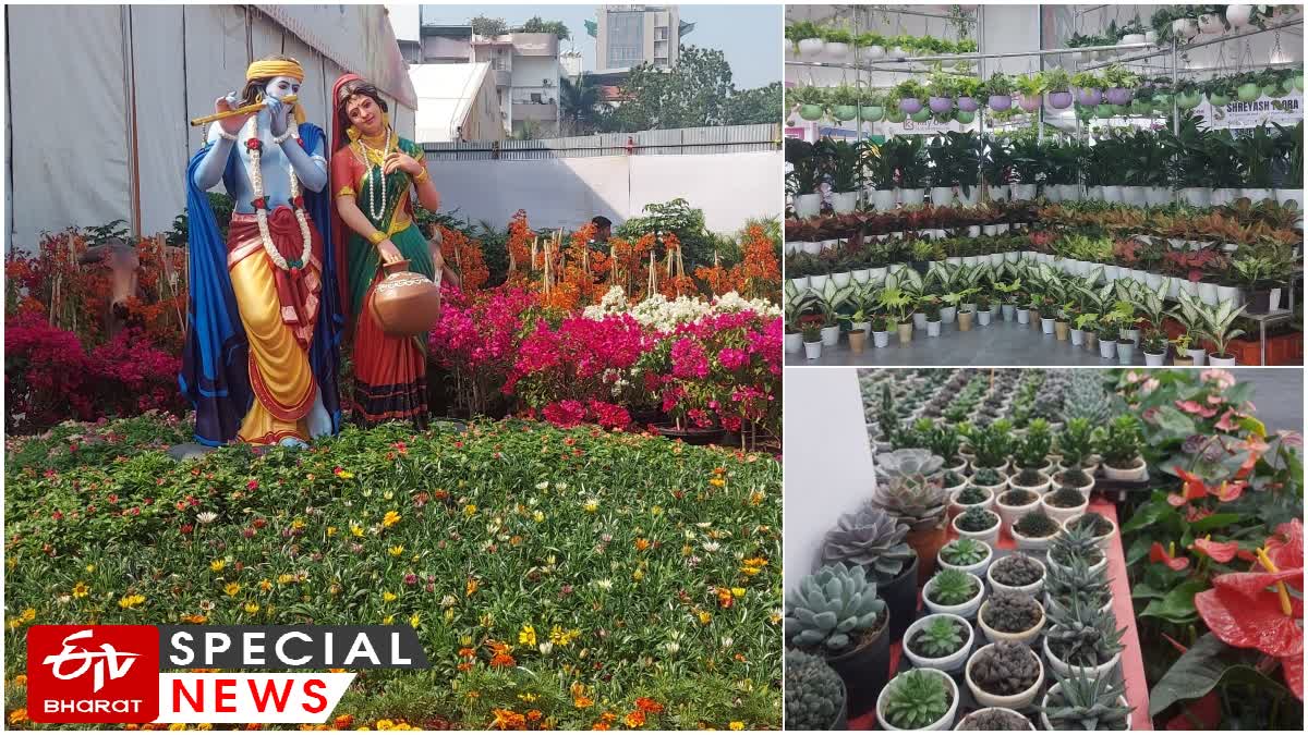 Horticulture Exhibition In Pune