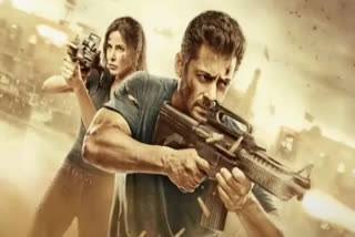 Tiger 3 box office collection day 11: Salman Khan, Katrina Kaif starrer declines further