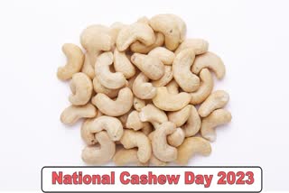 National Cashew Day 2023