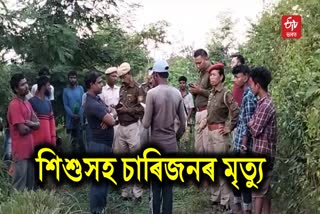 Killed by Wild Elephants in Karbi Anglong