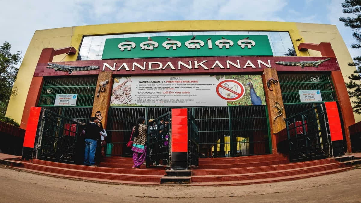 Nandanakanan Zoo ambassador