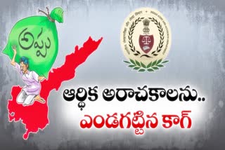 CAG Report on CFMS to AP