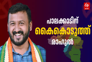 PALAKKAD BYELECTION 2024  ASSEMBLY ELECTION RESULT 2024  RAHUL MAMKOOTATHIL  പാലക്കാട് ഉപതെരഞ്ഞെടുപ്പ്