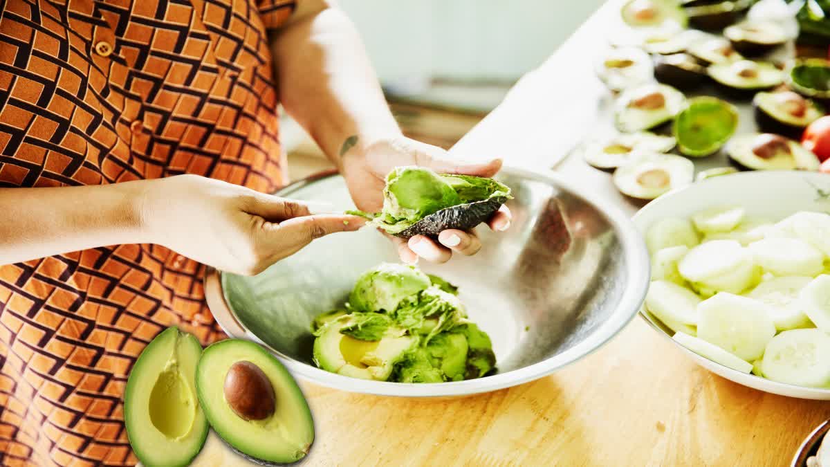 Avocado Recipes News