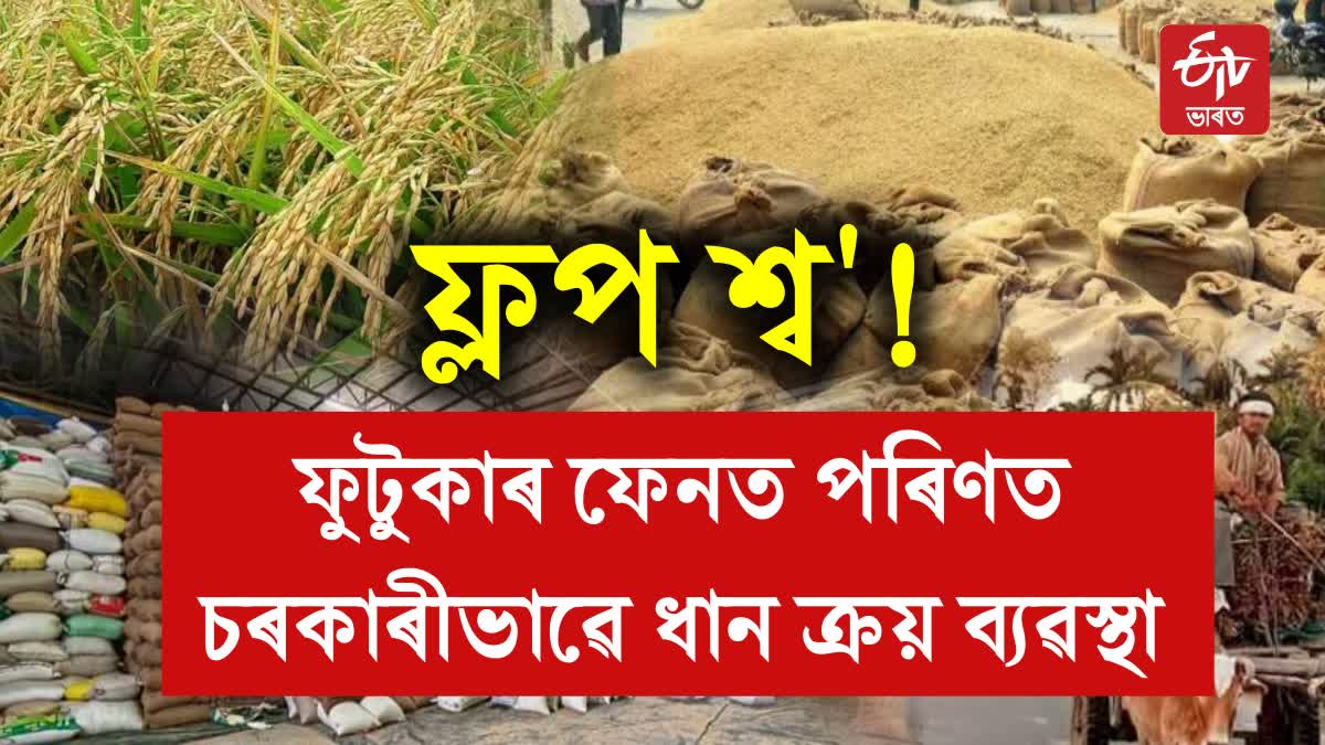 paddy Procurement Assam