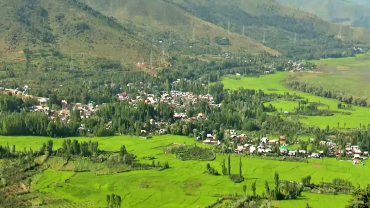 'Kashmir is heaven and we loved to be here': J&K saw record tourist arrival in 2023