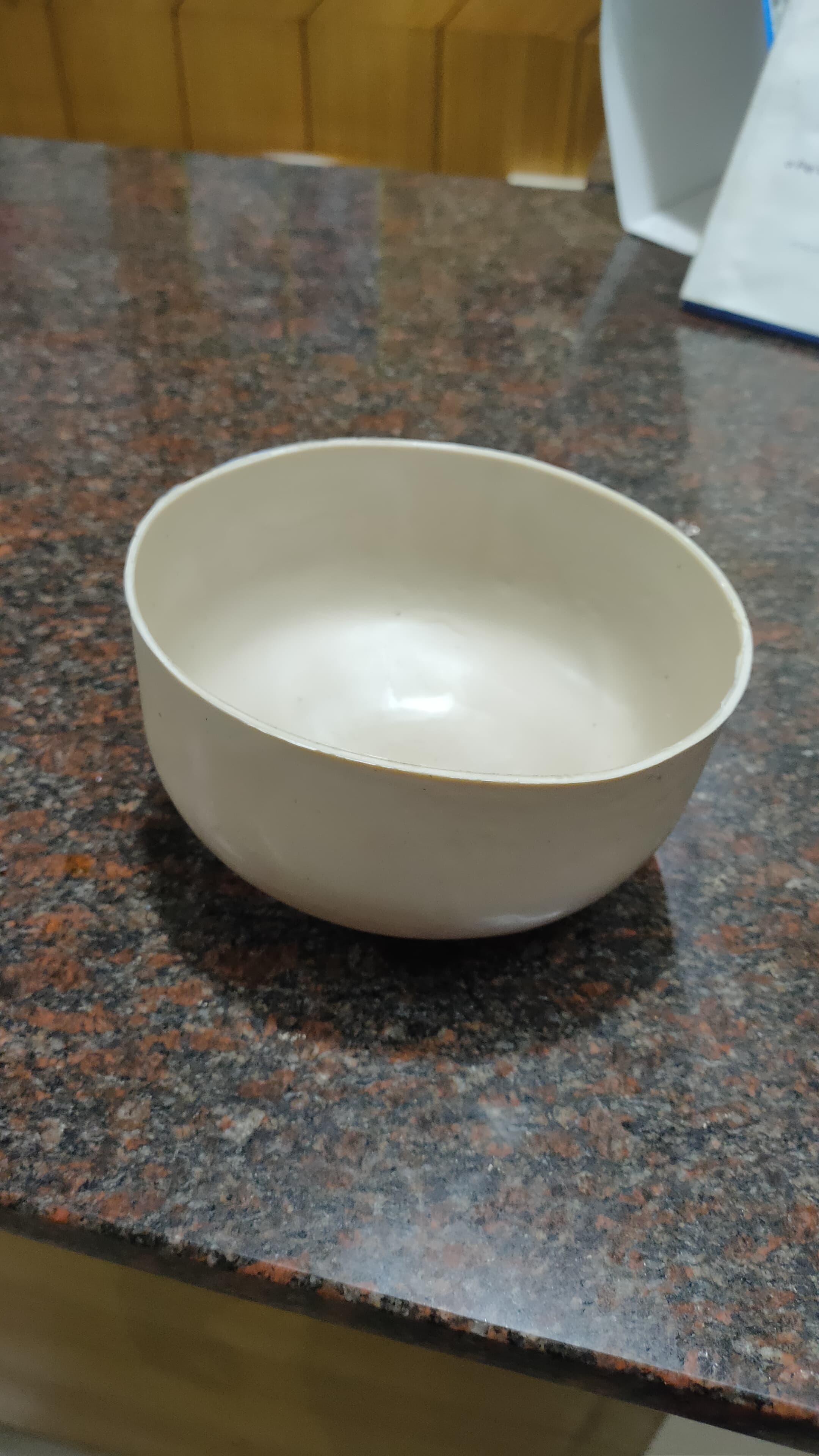 IIT Kanpur Compostable Plastic Bowl With Hen Feathers
