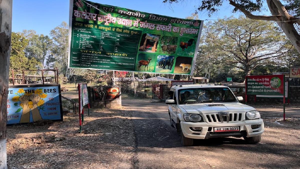 Jungle Safari in Kalesar Park