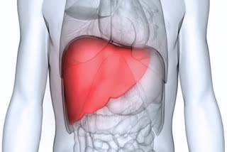 Liver Health Tips