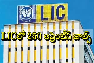 LICHFL Apprenticeship Recruitment 2023 Notification