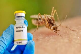 India Malaria Vaccine In WHO