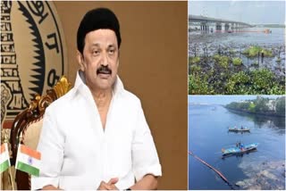 CM MK Stalin ordered a relief fund for Ennore oil spill-affected people