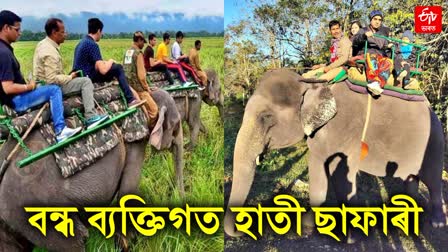 Elephant Safari Owners shut down private elephant safari indefinitely in kaziranga