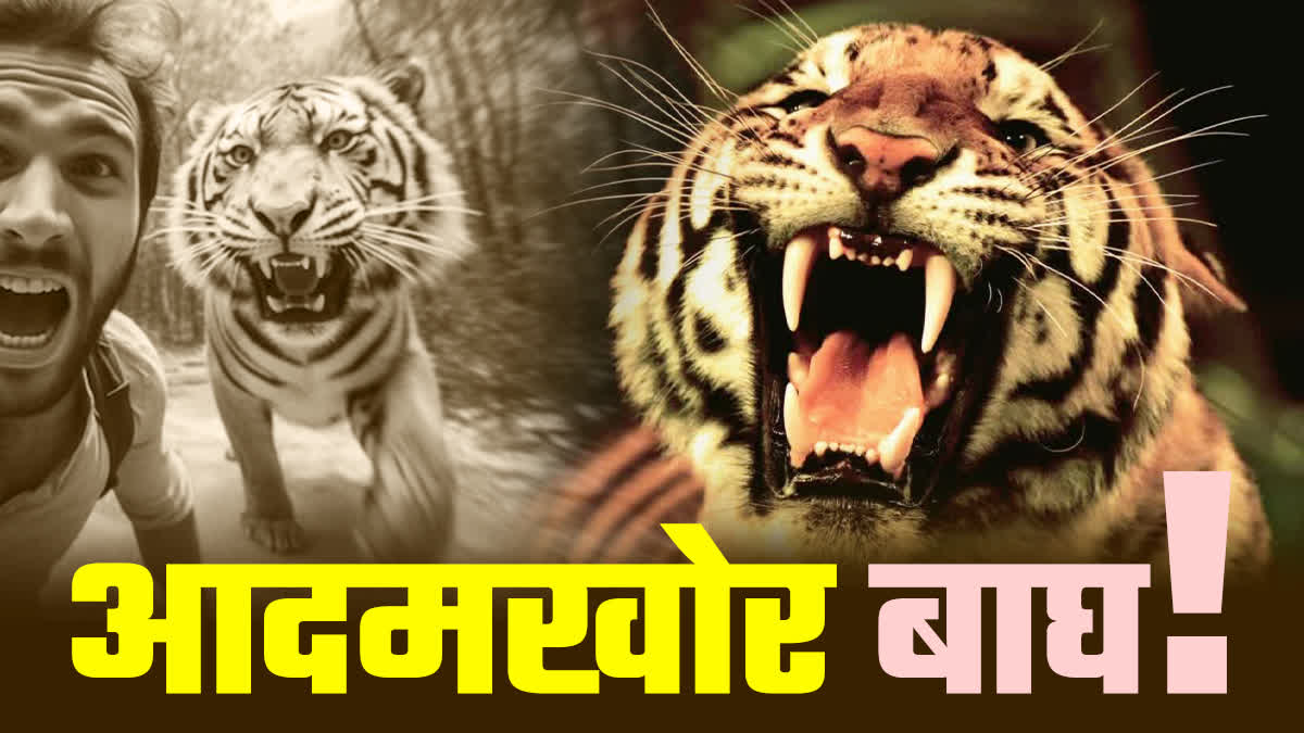 TIGER EATS MAN IN BALAGHAT