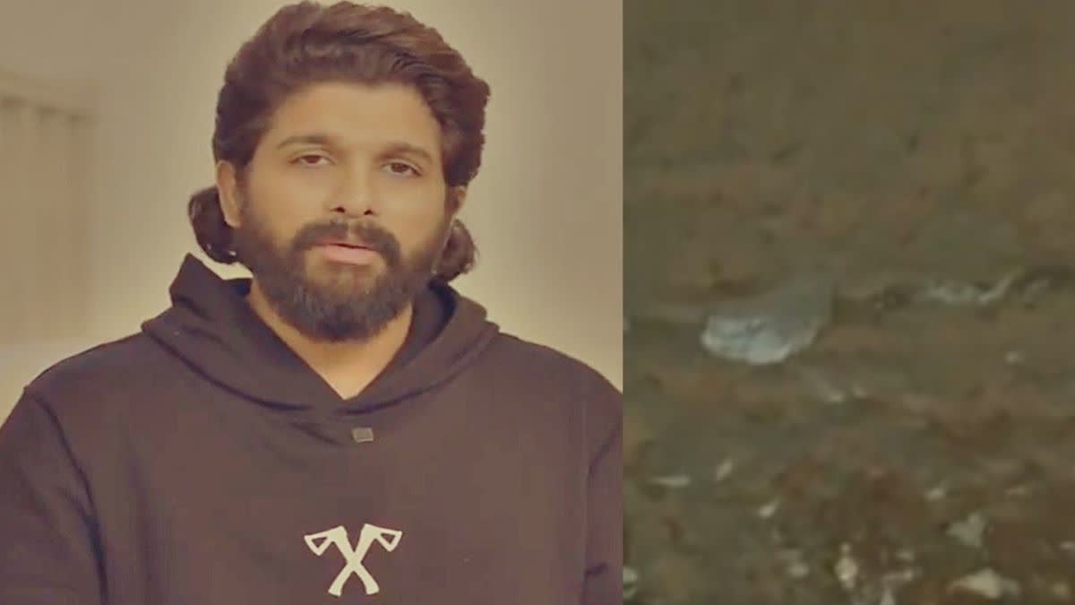 Allu Arjun residence stone pelting and vandalism