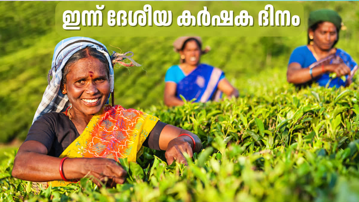 NATIONAL FARMERS DAY 2024  THE DAY TO HONOUR FARMERS  ദേശീയ കര്‍ഷക ദിനം  FARMERS CONTRIBUTION TO SOCIETY