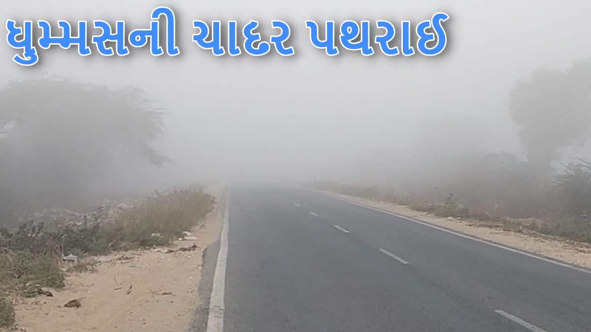 બનાસકાંઠાના સરહદી પંથકમાં વાતાવરણ પલટાયુ