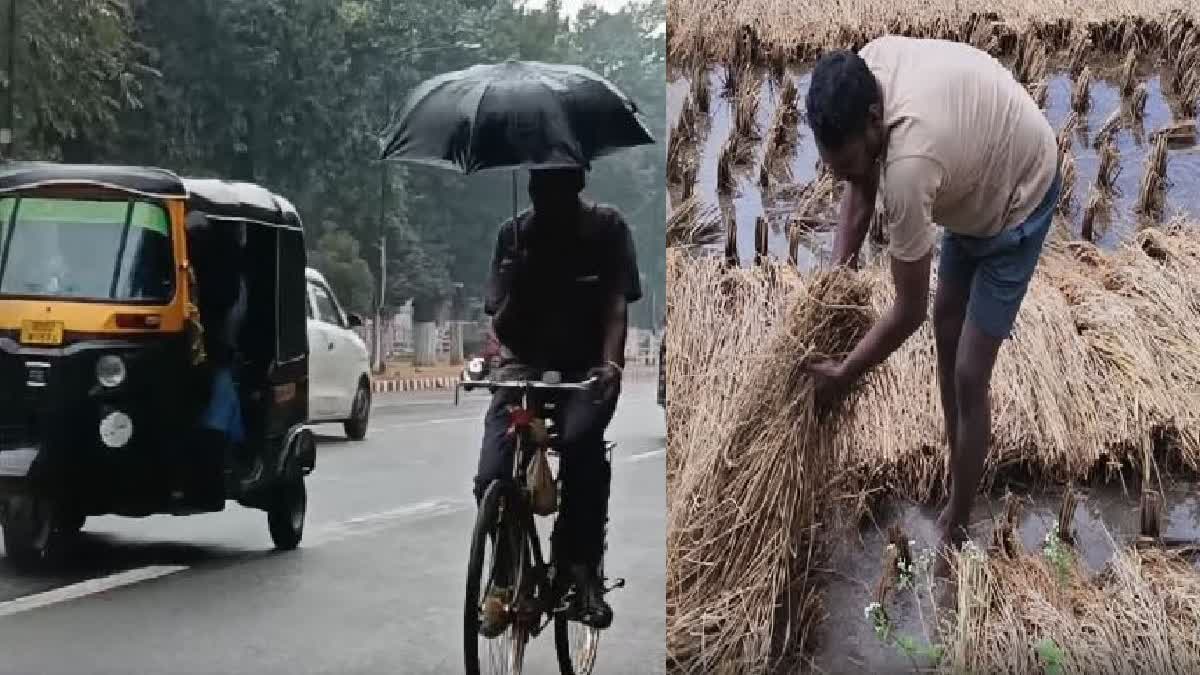 Odisha Weather Update