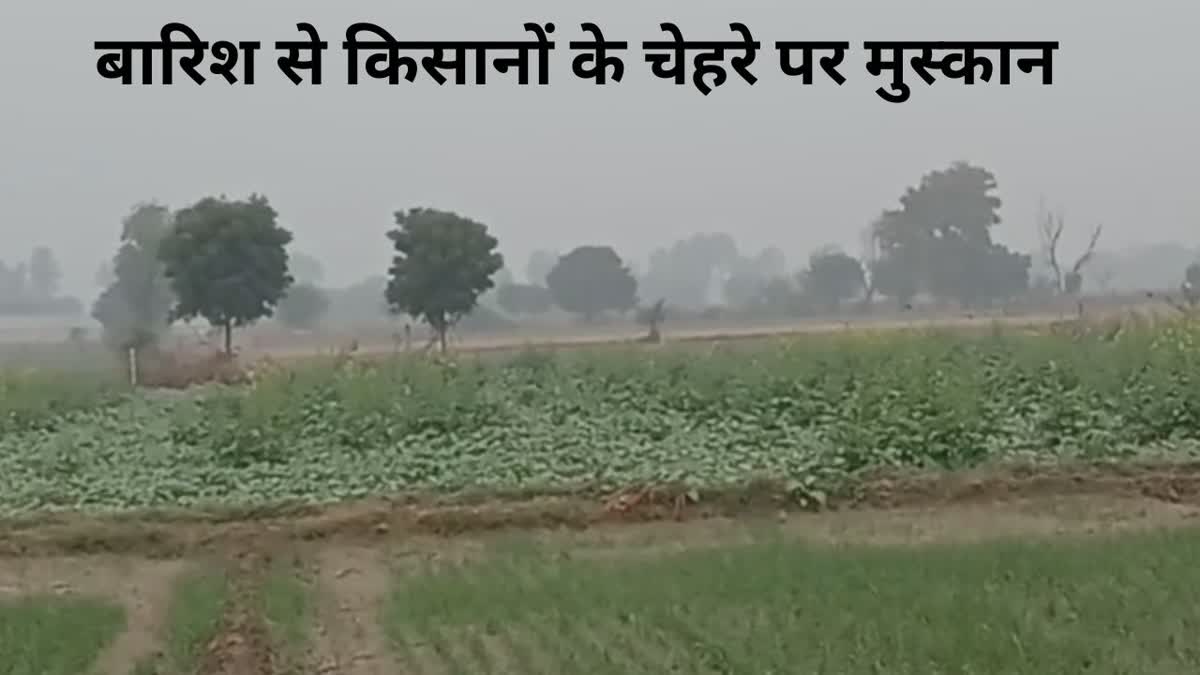 rain-in-many-districts-of-haryana