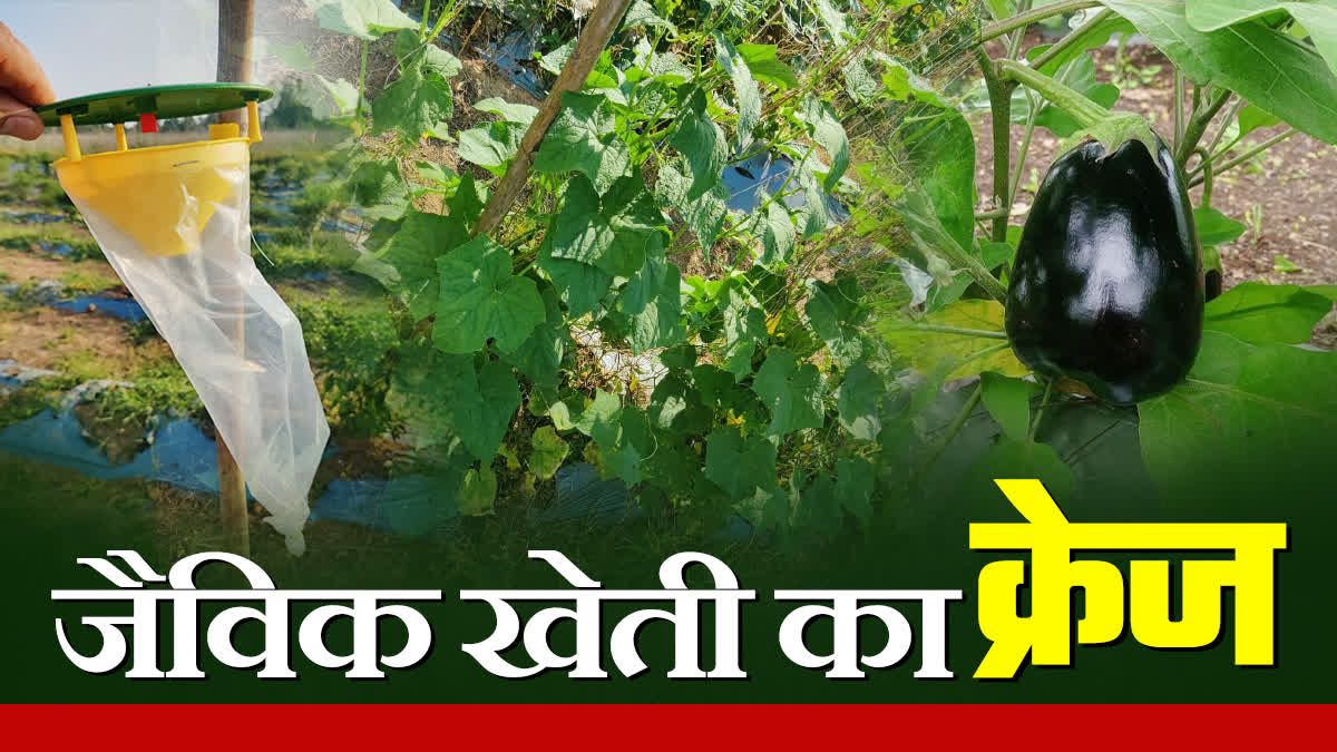 SHAHDOL MANOJ AHUJA FARMING STORY