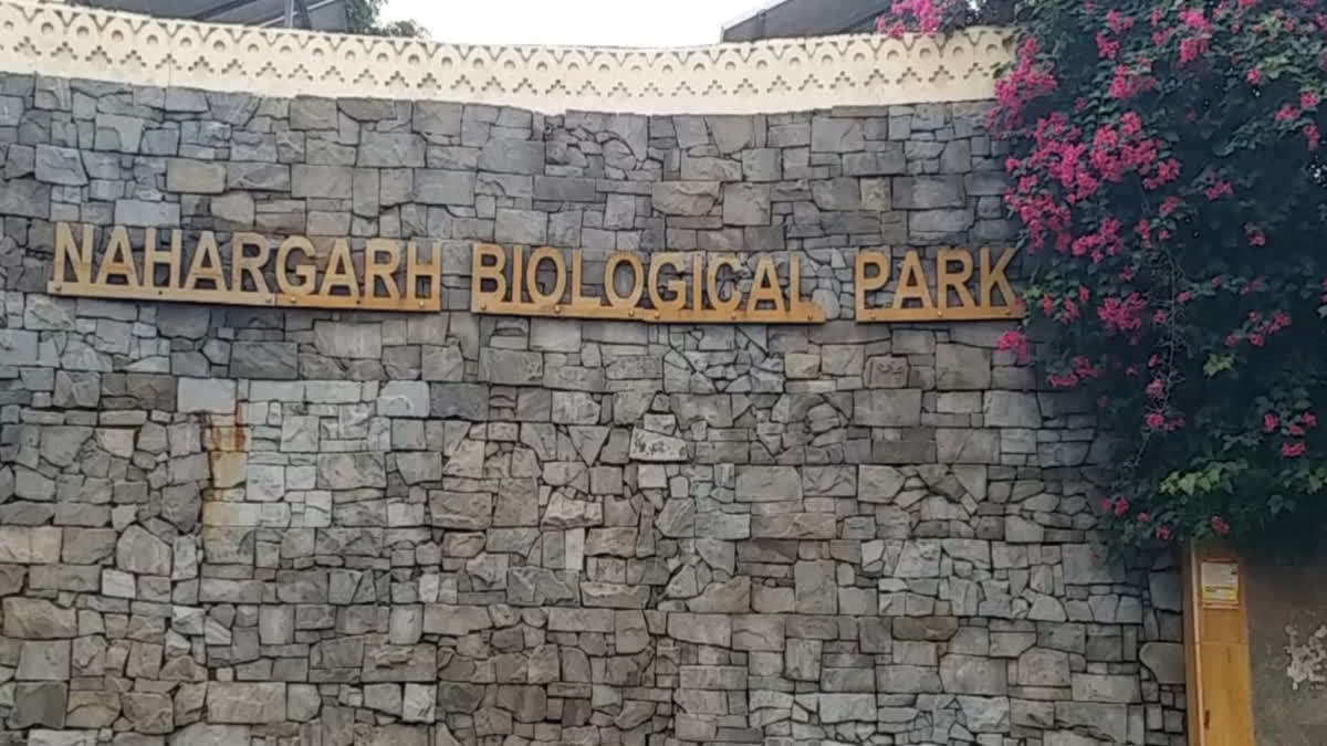 Nahargarh Biological Park