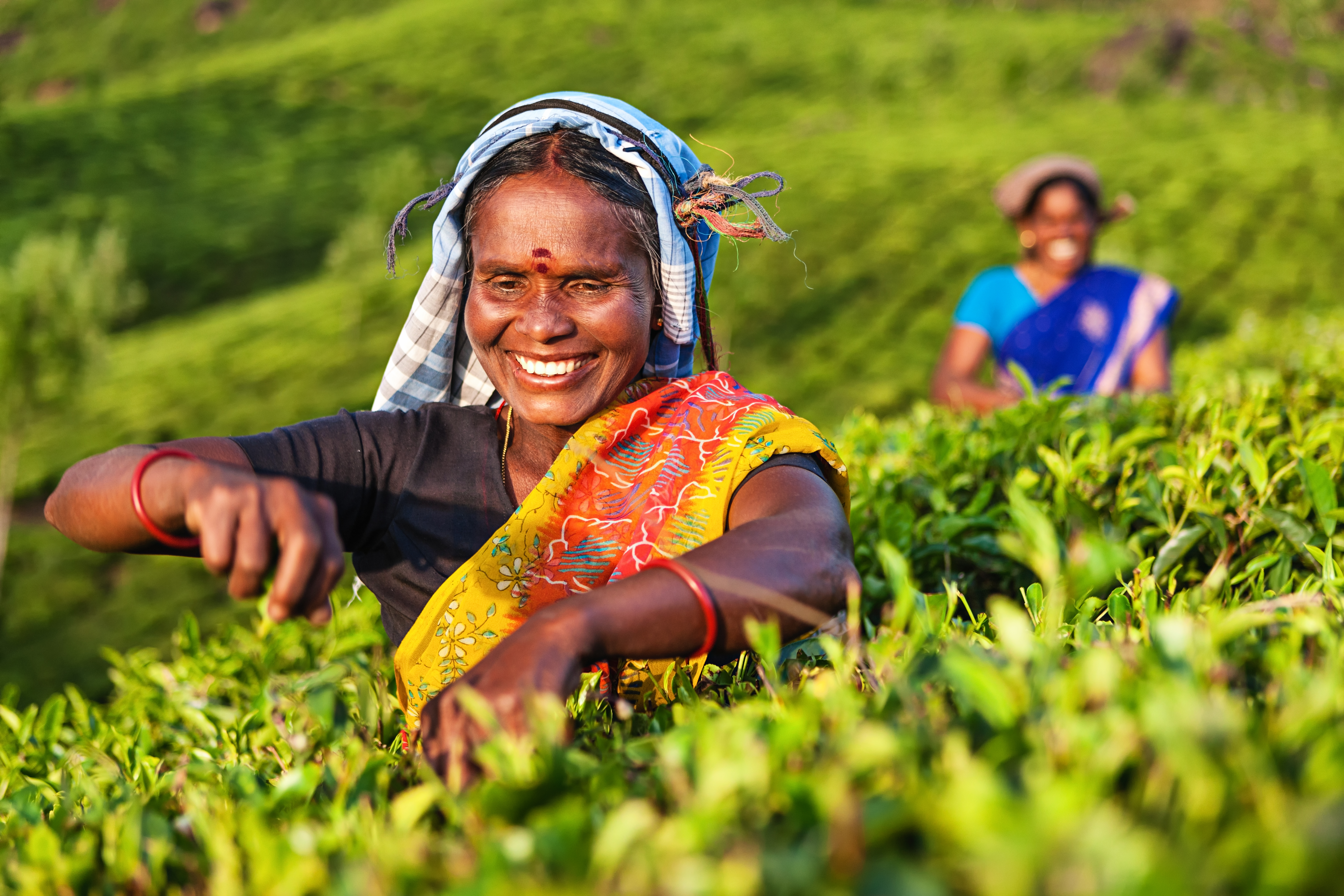 NATIONAL FARMERS DAY 2024  THE DAY TO HONOUR FARMERS  ദേശീയ കര്‍ഷക ദിനം  FARMERS CONTRIBUTION TO SOCIETY