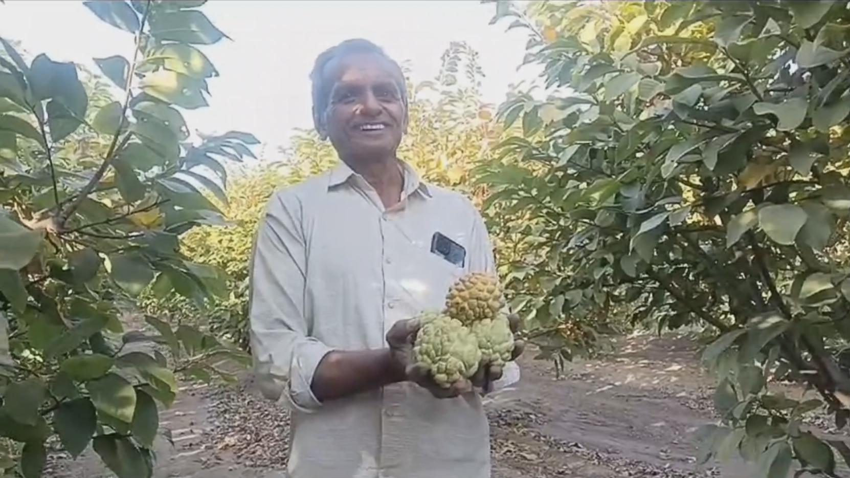 આ પ્રકારની ખેતીથી થશે આવકમાં સતત વધારો