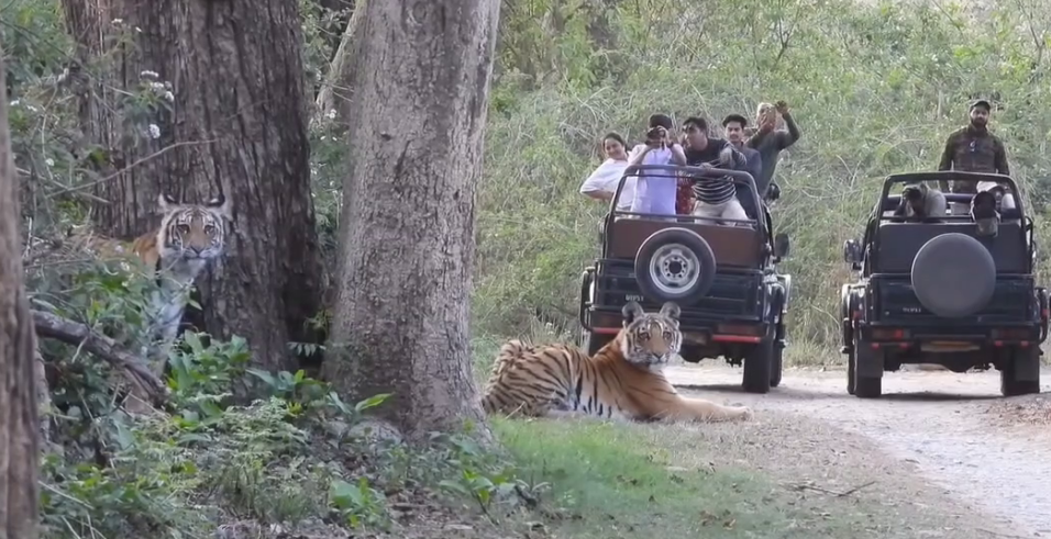 JIM CORBETT PARK TOUR