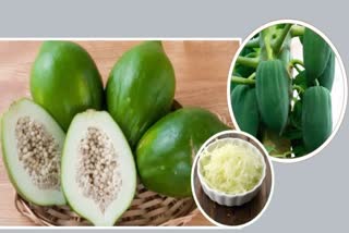 Raw papaya health benefits