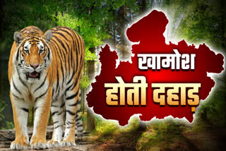 355 TIGER DEATHS IN MP